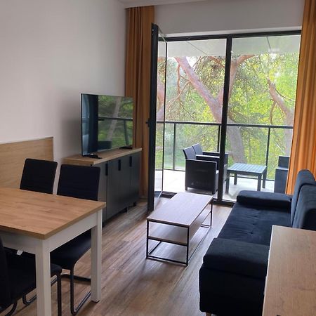 Apartament Dorka Rogowo  Exterior foto